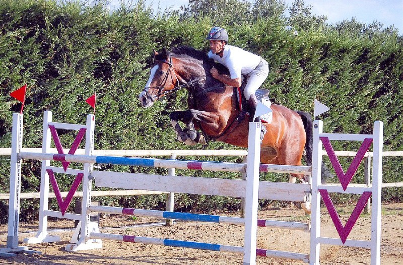cavallo1